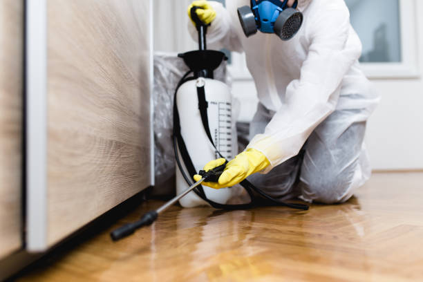 Flea Control Services in De Soto, KS