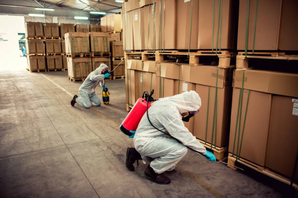 Best Pest Prevention Services  in De Soto, KS