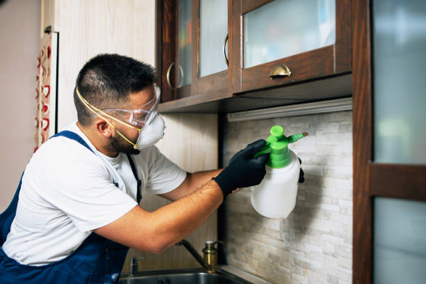 Best Wasp Removal Services  in De Soto, KS