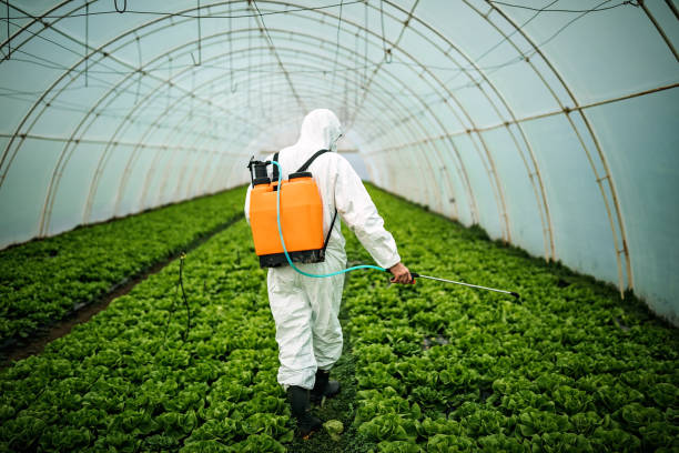 Best Pest Prevention Services  in De Soto, KS