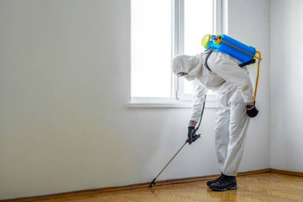 Best Exterminator Services  in De Soto, KS