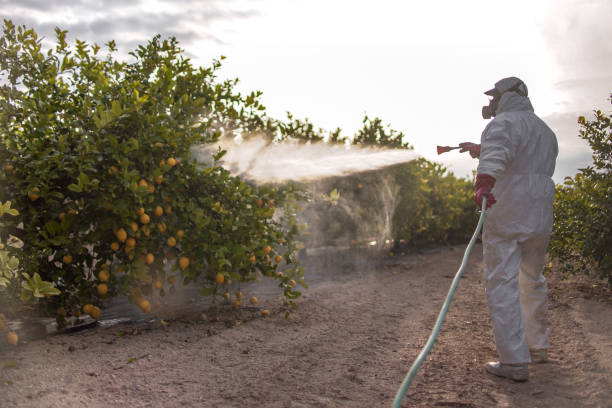 Best Pest Control for Homes  in De Soto, KS