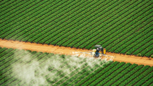 Professional Pest Control in De Soto, KS