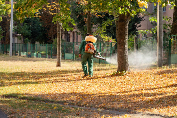Best Residential Pest Control  in De Soto, KS
