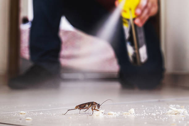 De Soto, KS Pest Control Company
