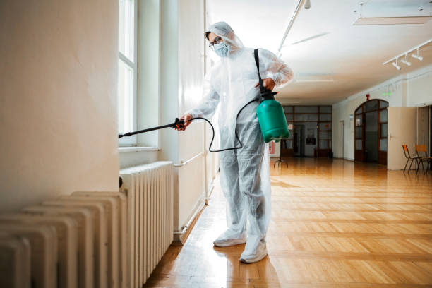 Best Bed Bug Extermination  in De Soto, KS
