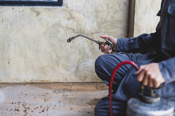 Best Commercial Pest Control Services  in De Soto, KS